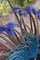 Mexico, San Miguel de Allende Aztec headdress by Don Paulson - Item # VARPDXSA13BJA0308